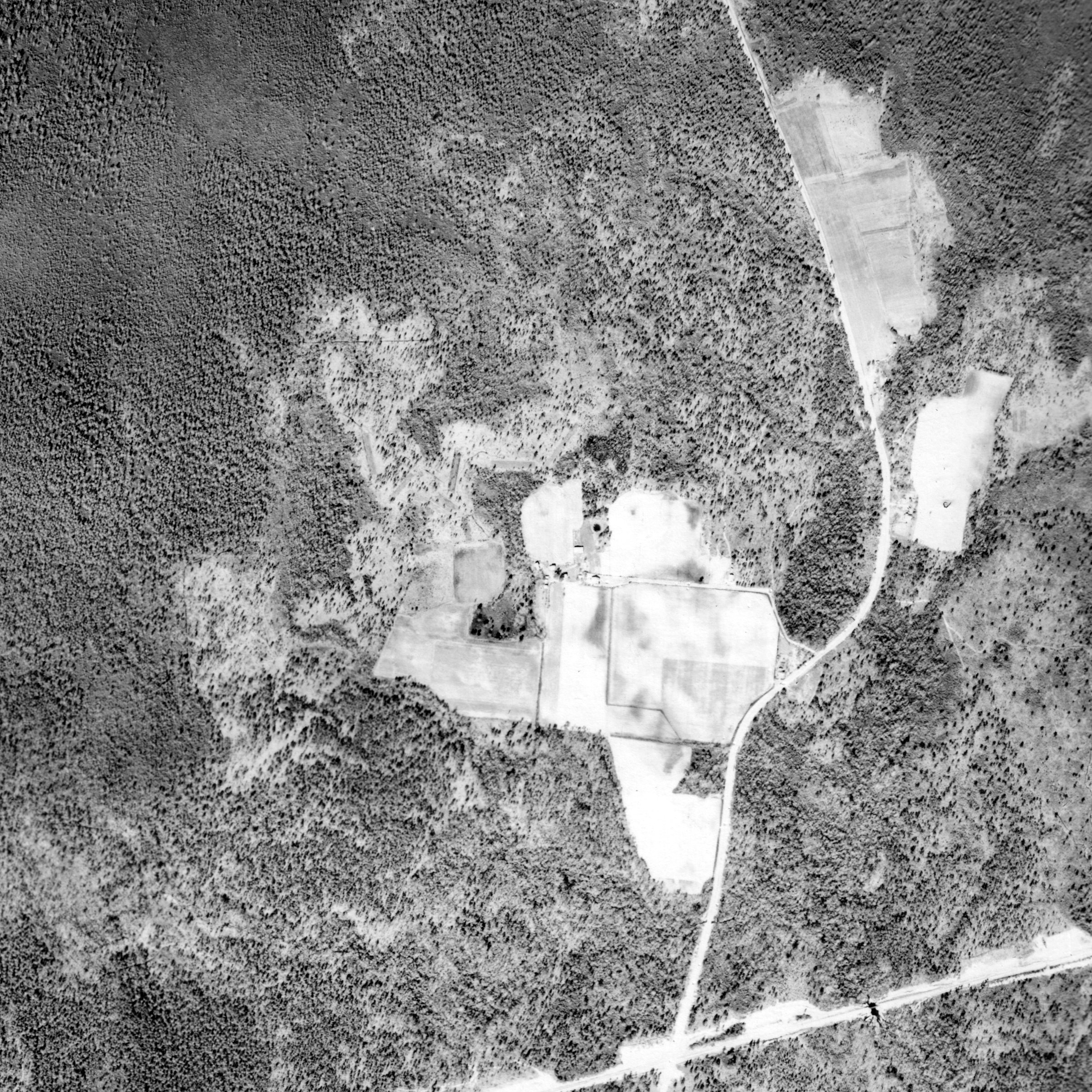 Black-and-white aerial photo from March 4, 1956: farm fields and a farmstead west of Riggs Road, surrounded by pine woods.