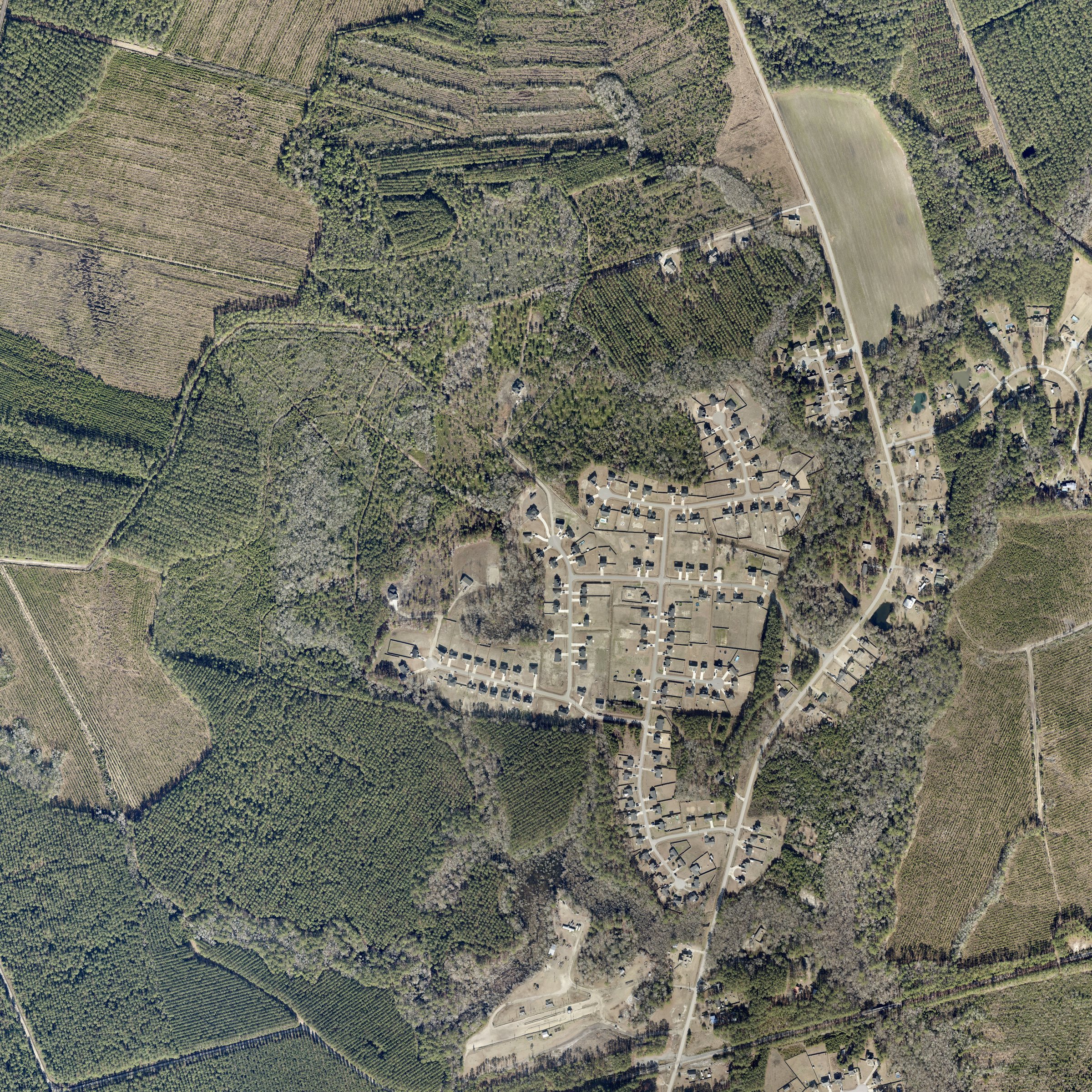 Color aerial photo from 2026 of the same ground: the streets and homes of Cotton Hill now cover the old fields.